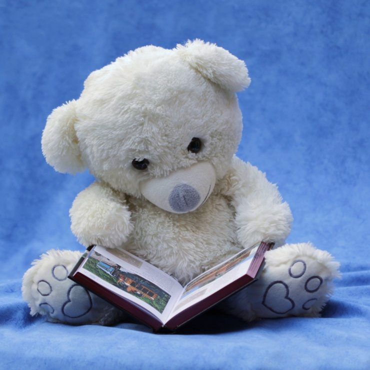 still-life-teddy-white-read-159080